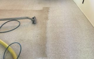 Carpet steam Cleaning