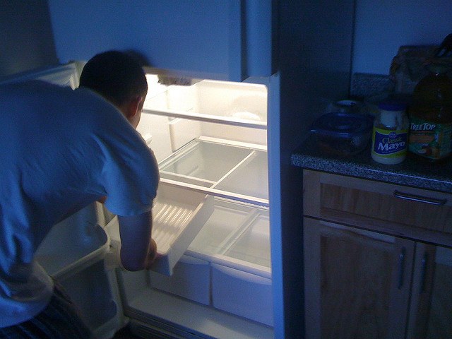 Germ Busting Hints for Your Refrigerator