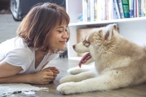 5 Best Clean House Tips for Pet Owners