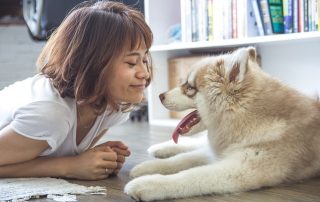 5 Best Clean House Tips for Pet Owners