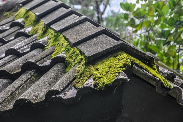 Environmentally Friendly Method to Remove the Moss on the Roof