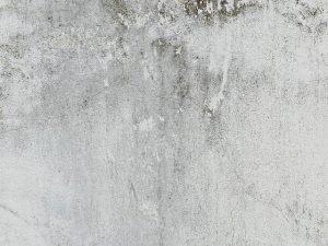 Mould Cleaning on Walls and Ceilings