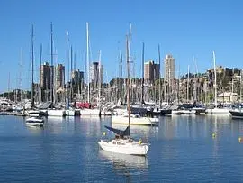 Rushcutters Bay 2011 3 cleaning-in-Rushcutters-Bay