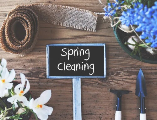 Seasonal Cleaning Services