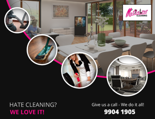 Carpet & Upholstery Steam Cleaning Sydney