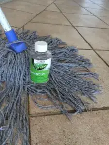 Professional Cleaning Services 10 Strata Block Cleaning
