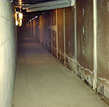 How to destroy Toxic Mould in your home 6 How to destroy Toxic Mould in your home