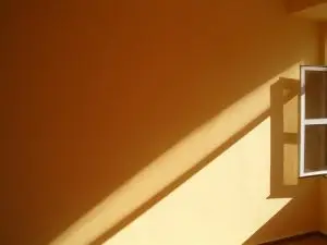 Wall and Ceiling Cleaning Services near me 5 Painted Walls cleaning